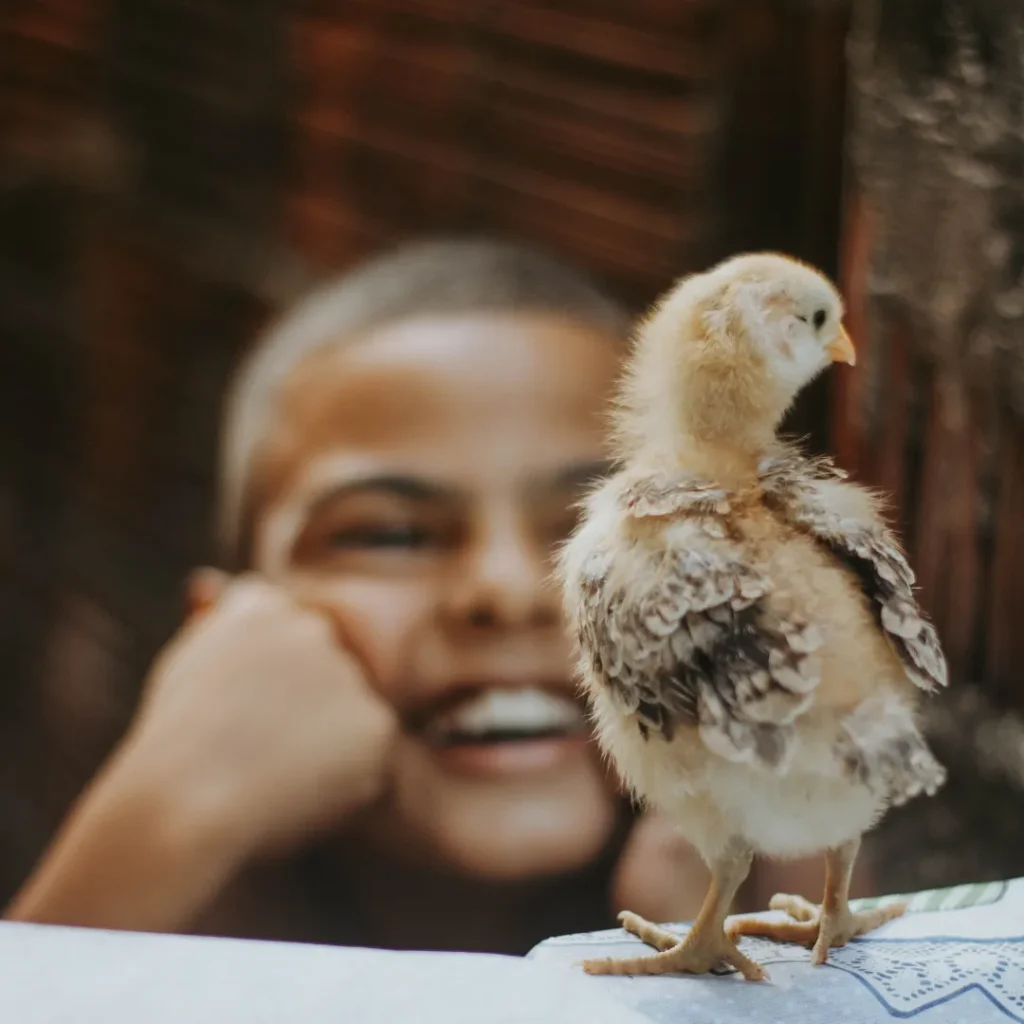 Chicken Little Quotes